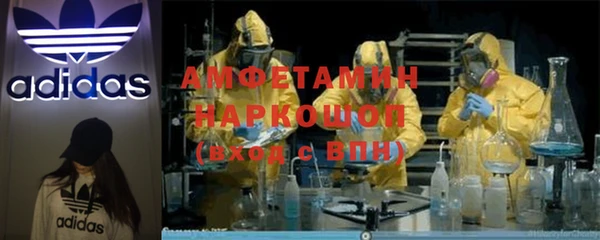 прущие грибы Новокубанск
