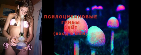ПСИЛОЦИБИНОВЫЕ ГРИБЫ Балахна