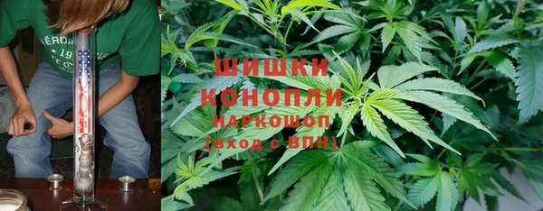 PSILOCYBIN Белокуриха