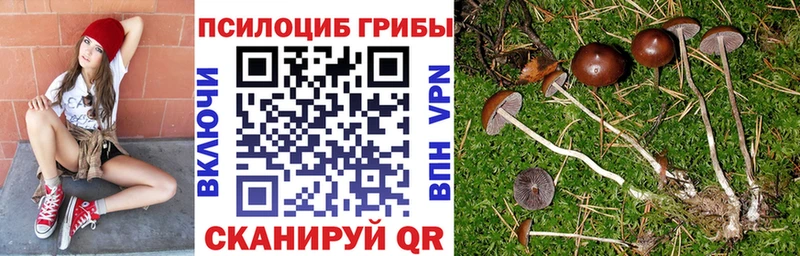 Купить  Тетюши  Галлюциногенные грибы MAGIC MUSHROOMS 
